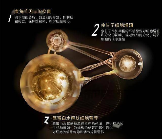 EX外汇平台行情外媒：《咚奇刚：蕉力全开》未能充分发挥Switch2性能！